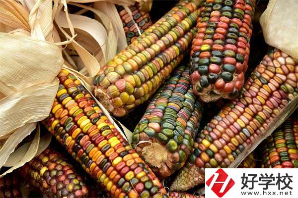 岳陽中職學校哪些專業(yè)好？有什么學校推薦？
