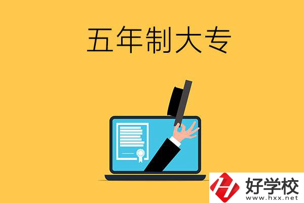 湖南有哪些比較好的五年制大專(zhuān)學(xué)校？看看這4所！