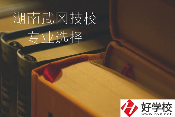 湖南武岡技校怎么樣？有哪些專業(yè)可以選擇？