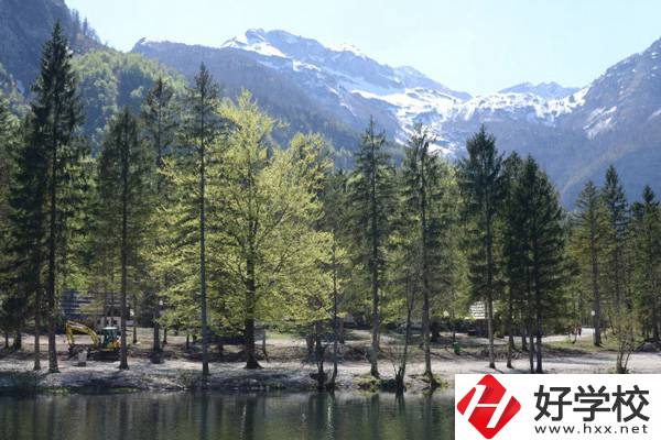 湘西自治州技工學(xué)校怎么樣?宿舍環(huán)境怎么樣？