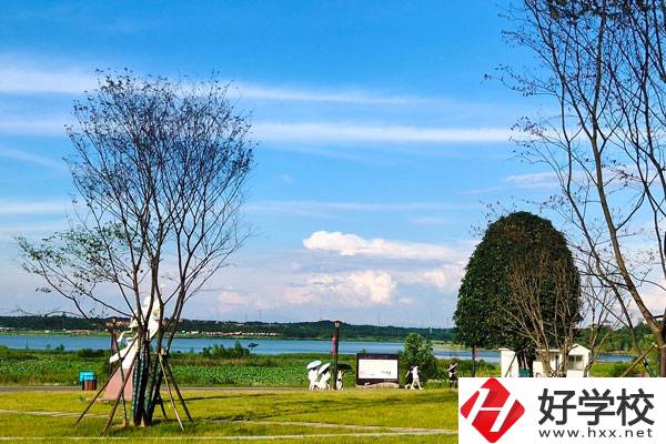 龍山縣誠(chéng)信職業(yè)技術(shù)學(xué)校是一所怎樣的中專？
