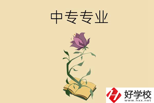 在張家界讀中專，學(xué)什么專業(yè)比較好？