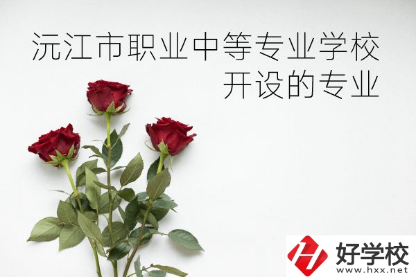 沅江市職業(yè)中等專業(yè)學(xué)校怎么樣？開設(shè)哪些專業(yè)？