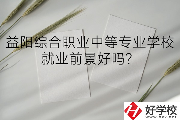 益陽綜合職業(yè)中等專業(yè)學(xué)校如何？就業(yè)前景好嗎？
