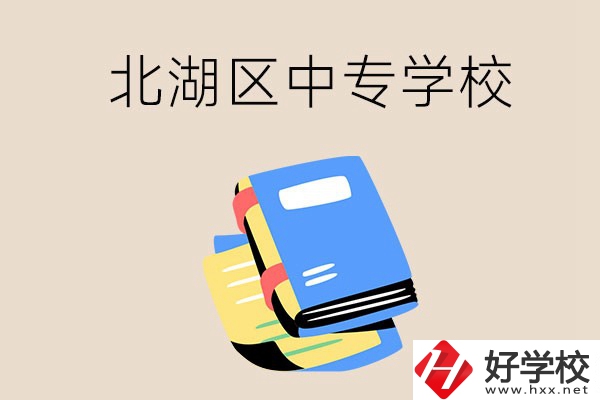 郴州市北湖區(qū)一共有多少所中專學校？