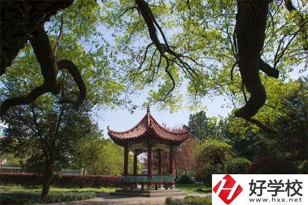 長沙市望城區(qū)職業(yè)中等專業(yè)學(xué)校的官網(wǎng)是什么？