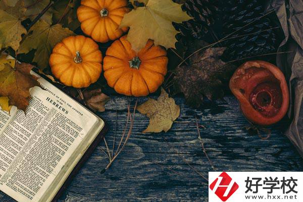 臨湘市職業(yè)中專開設(shè)哪些熱門專業(yè)？有哪些就業(yè)方向？