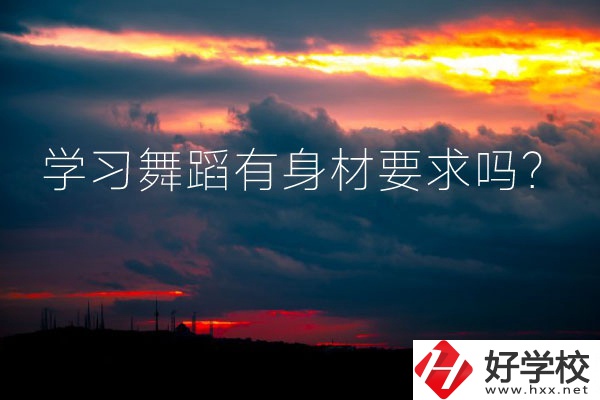 懷化有可以學(xué)習(xí)舞蹈的中專學(xué)校嗎？有身材要求嗎？