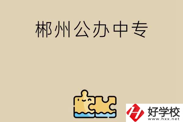 郴州公辦中專有哪些開設(shè)了電子商務(wù)專業(yè)？