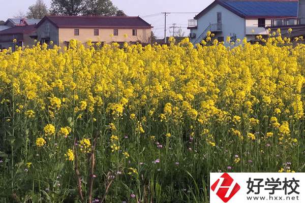 湖南省有哪些比較好的技校？熱門專業(yè)有哪些？