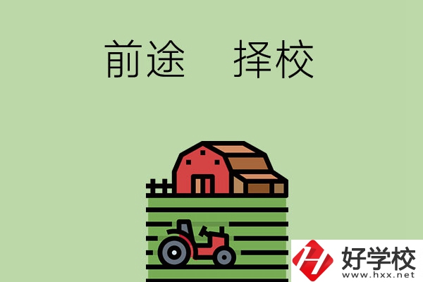 在長沙讀中職學(xué)校有前途嗎，如何擇校？