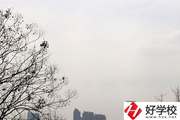 邵陽市就業(yè)前景比較好的三所中職學(xué)校，看完就有收獲