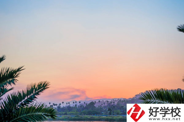 益陽(yáng)市第一職業(yè)中專都有哪些招生專業(yè)和要求？