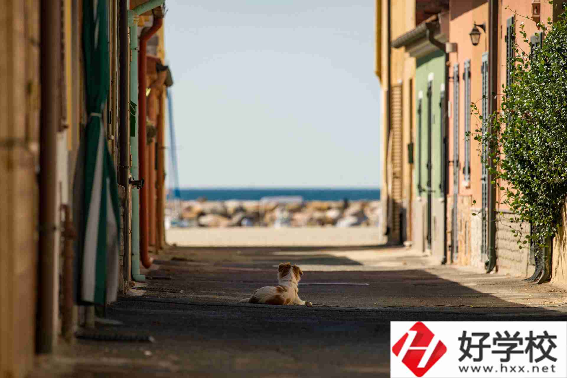 益陽(yáng)市四通電腦中等專業(yè)學(xué)校什么專業(yè)強(qiáng)？
