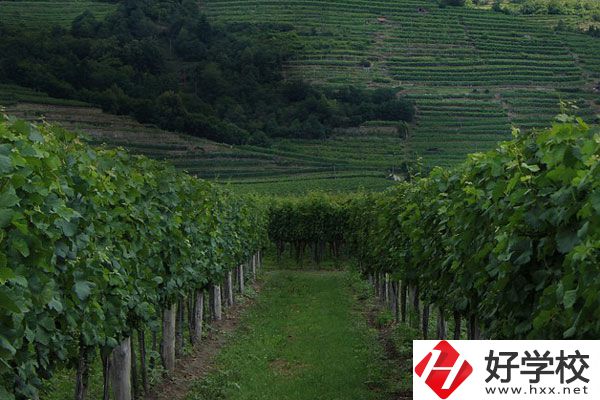 中鋼集團衡陽重機技工學(xué)校好不好？值得讀嗎？