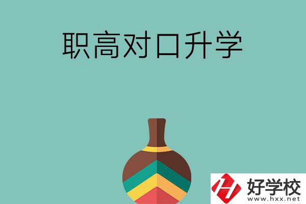 湖南職高對(duì)口升學(xué)可以考哪些大專？