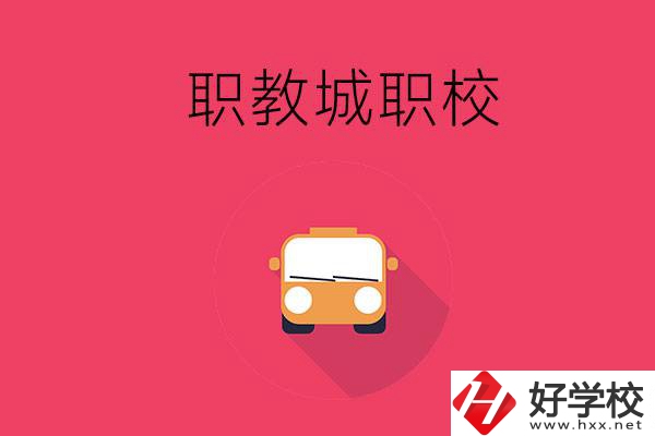 株洲職教城有什么職校？