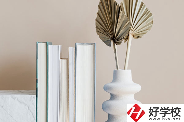 懷化職業(yè)技術(shù)學(xué)院(中職部)好不好，值得選擇嗎？