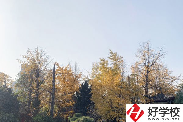 湘潭縣就業(yè)職業(yè)技術(shù)學(xué)校有哪些專業(yè)？就業(yè)前景怎么樣？
