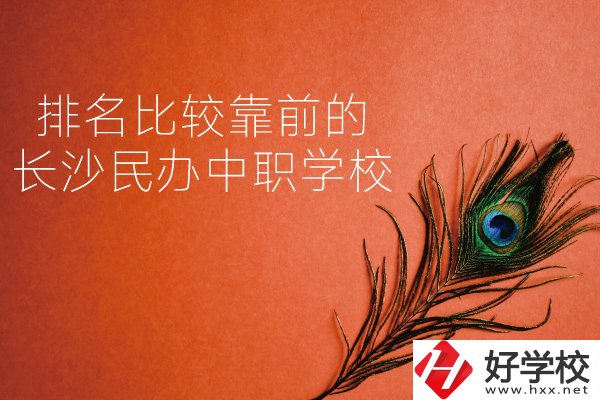 長(zhǎng)沙哪些民辦中職學(xué)校排名比較靠前？