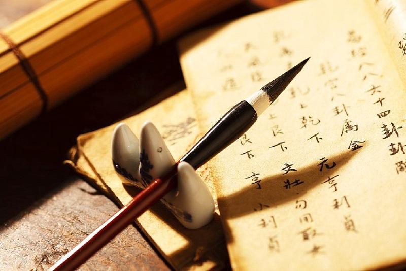 漢語(yǔ)言文學(xué)專業(yè)學(xué)什么？
