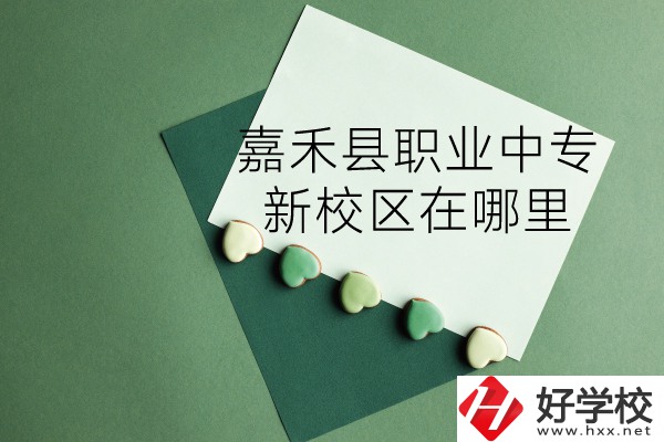 嘉禾縣職業(yè)中專怎么樣？新校區(qū)在哪里？