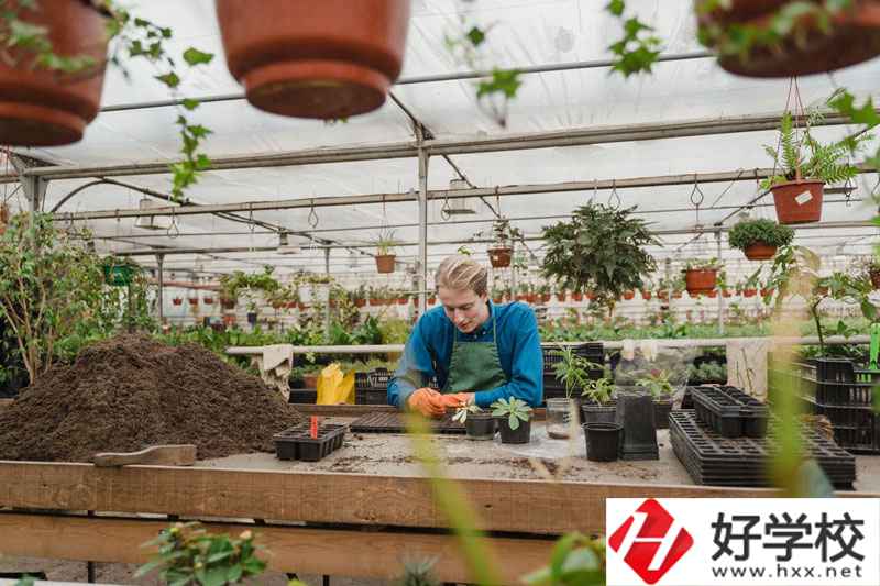 湖南省湘潭縣職校有什么專業(yè)可以選擇？