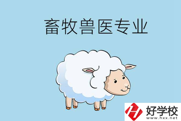 畜牧獸醫(yī)專業(yè)好就業(yè)嗎？湖南哪些技校開設了該專業(yè)？
