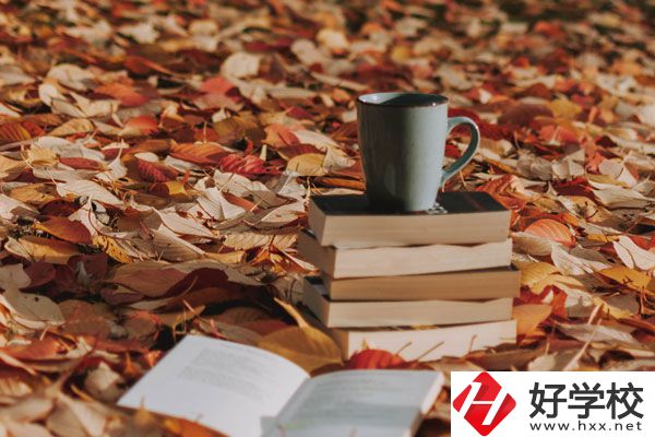 中方縣職業(yè)中等專業(yè)學(xué)校有什么專業(yè)？好不好？