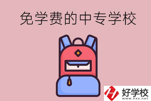 郴州市的中專哪些是免學費的？