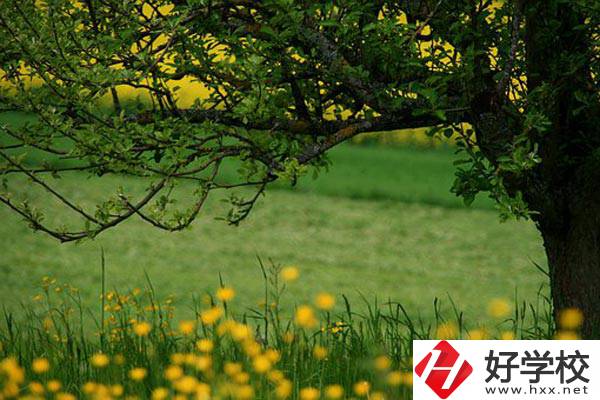 在邵陽(yáng)讀中職有前途嗎？如何選擇學(xué)校呢？