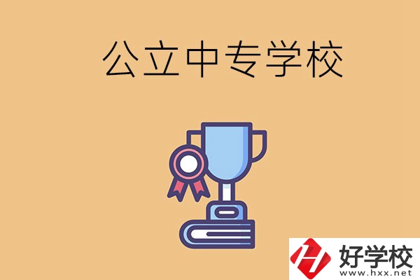 常德的公立中專學(xué)校有哪些？有什么特色？