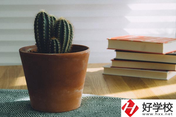 桃江縣職業(yè)中專學(xué)校辦學(xué)條件怎么樣？有哪些特色？