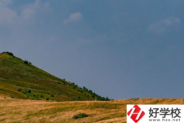 想在常德學(xué)動(dòng)漫設(shè)計(jì)專業(yè)，有合適的學(xué)校嗎？