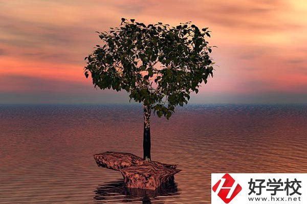 湖南省中南藝術(shù)學(xué)校收費標準怎么樣？