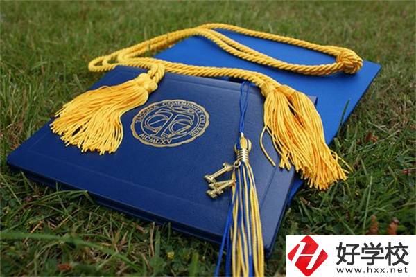 在湖南中職學(xué)哪些專業(yè)更容易考本科？