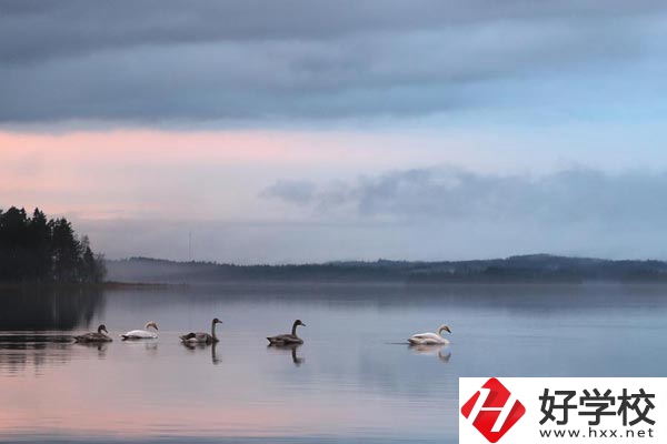 湖南有色金屬中專學(xué)校有哪些專業(yè)？就業(yè)方向如何？