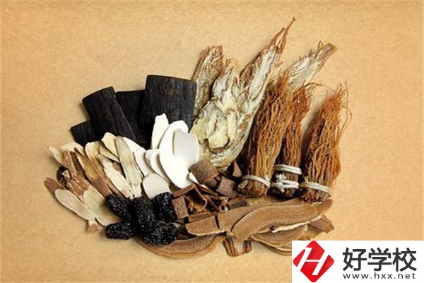 在湘西學(xué)中草藥栽培怎么樣？開設(shè)此專業(yè)的學(xué)校有哪些？