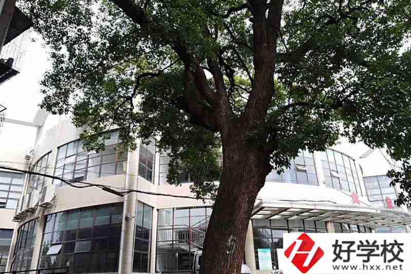 衡陽(yáng)排名前三的職業(yè)學(xué)校你知道有哪幾所？
