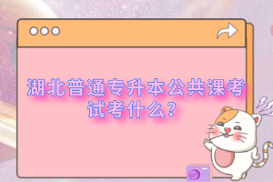 湖北普通專升本公共課考試考什么？