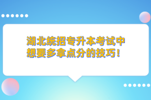 湖北統(tǒng)招專升本的學(xué)歷和本科學(xué)歷考公務(wù)員一樣嗎？