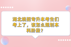 湖北統(tǒng)招專升本考生們考上了，該怎么規(guī)劃本科階段？