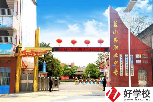 藍(lán)山縣職業(yè)中等專業(yè)學(xué)校是公辦學(xué)校嗎？有什么專業(yè)？