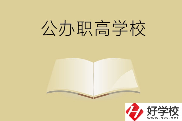 懷化公辦的職高學(xué)校有哪些？