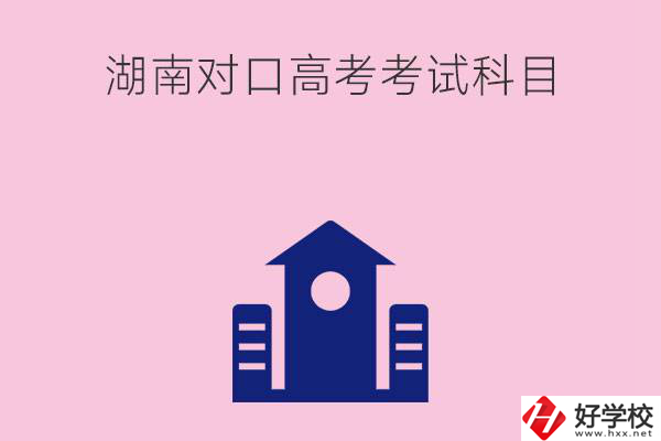 湖南中職生對口高考考試科目都有哪些？考試難不難？