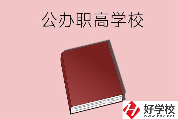湖南有什么公辦的職高學(xué)校？