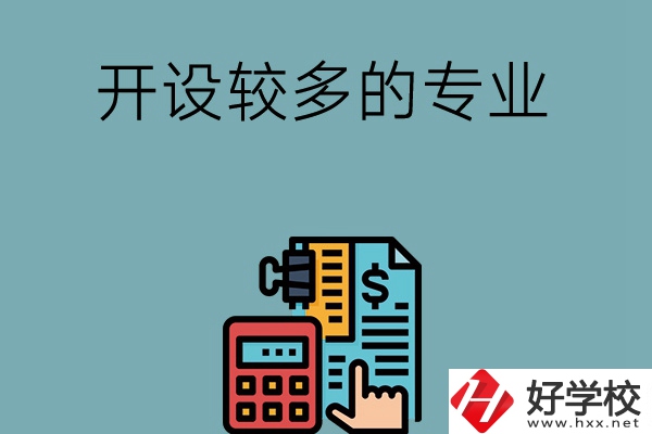 湖南的中職學(xué)校開設(shè)較多的專業(yè)是哪些？