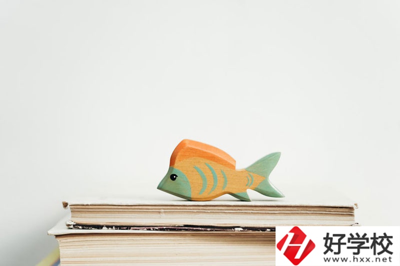 長沙市英藍中等職業(yè)學(xué)校學(xué)費多少？貴不貴？