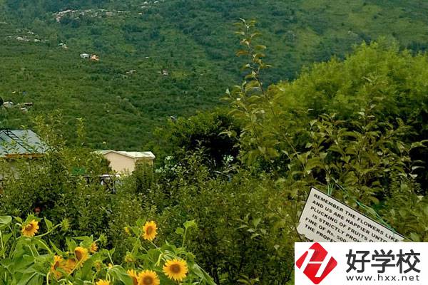 長(zhǎng)沙公辦中職學(xué)校好不好？都有哪些學(xué)校？