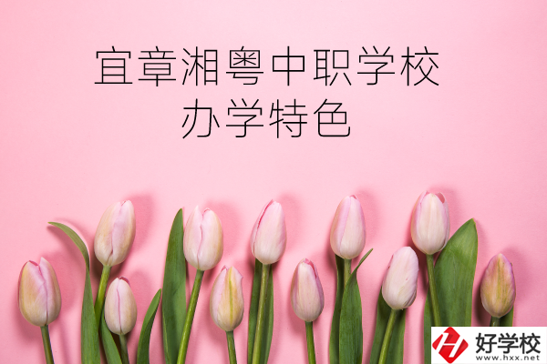 宜章湘粵中職學(xué)校在哪？有什么辦學(xué)特色？